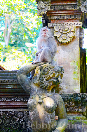 Inside the Monkey Temple