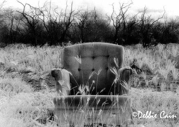 My Love Affair with a Chair No. 1