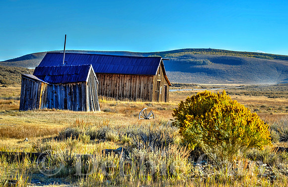 Bodie No. 10