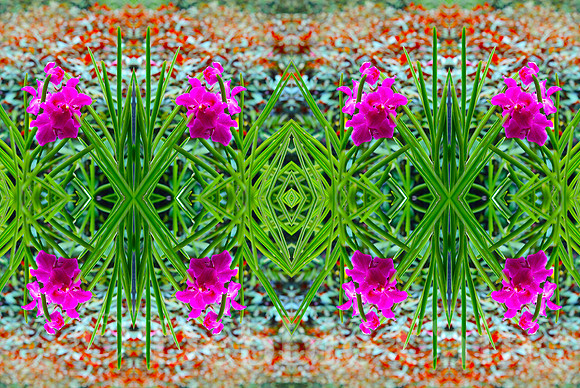 Floral Meditiation
