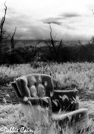 My Love Affair with a Chair No. 2