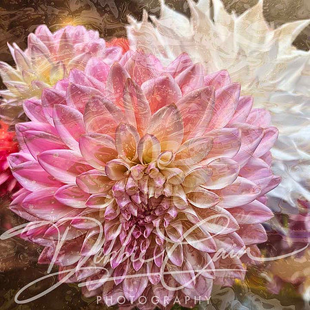 Floral Fantasy No. 8