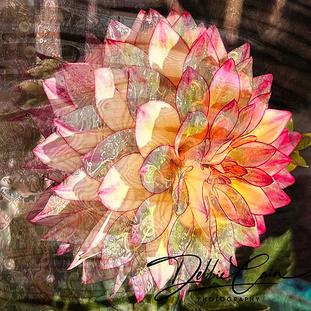 Floral Fantasy No. 11