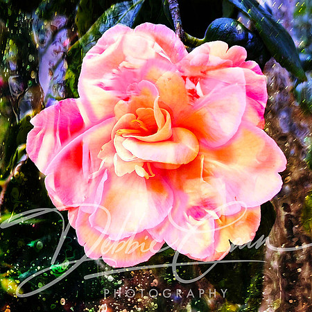 Floral Fantasy No. 2