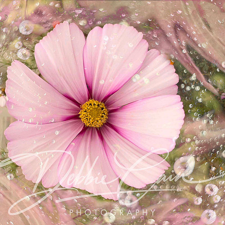 Floral Fantasy No. 3