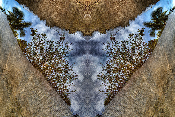 Spiritual Reflection