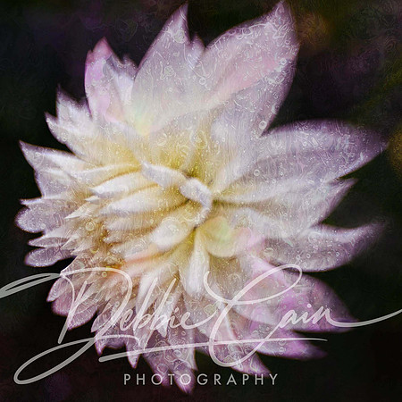 Floral Fantasy No. 1