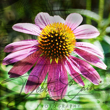 Floral Fantasy No. 10