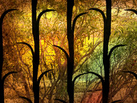 Through Dali's Window
