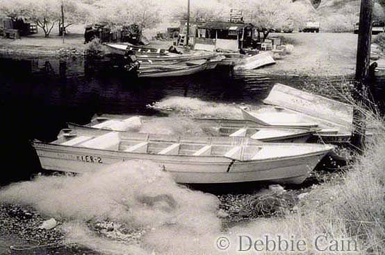Boats in San Carlos