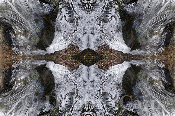 Life Force