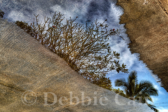 Concrete Dream