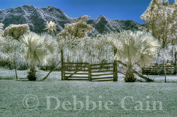 Gateway to Paradise