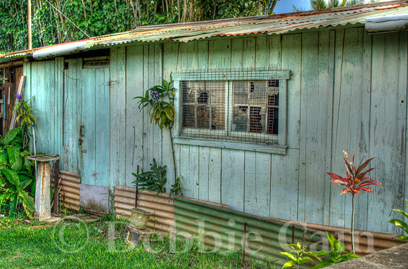 Tin Roof Rusted