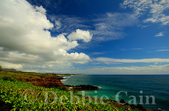 Kauai Blues
