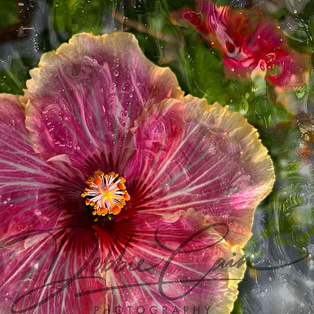 Floral Fantasy No. 9