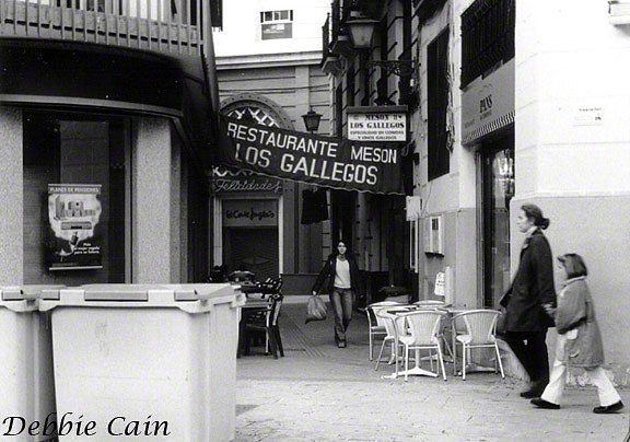 Los Gallegos