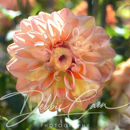 Floral Fantasy No. 4