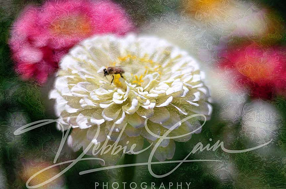 Floral Fantasy No. 5
