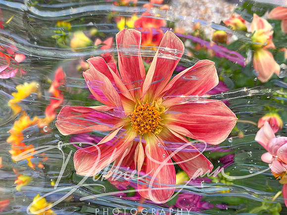 Floral Fantasy No. 6