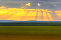 Morning Motion