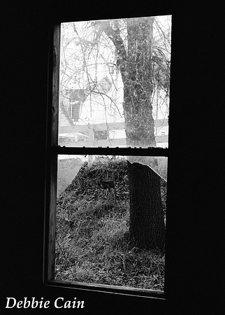 Window in Locke