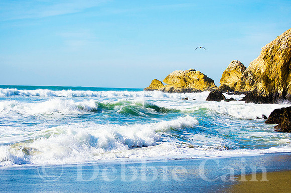 Flight at Rockaway Beach