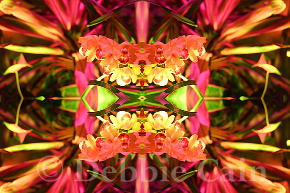 Floriferous No. 2