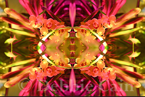 Floriferous