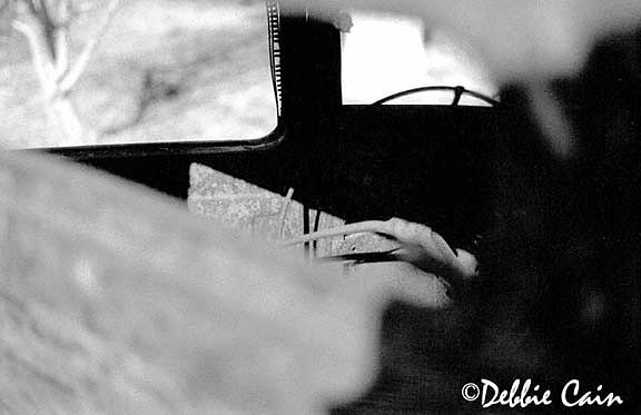 Rear Window